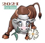 Новый год 2020-2021